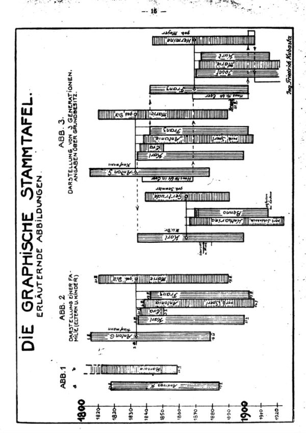 Die graphische Stammtafel - 2
